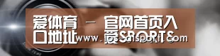 公司动态